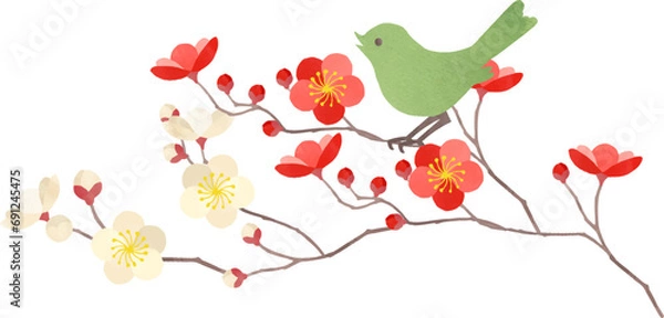 Obraz 梅とウグイスのイラスト
