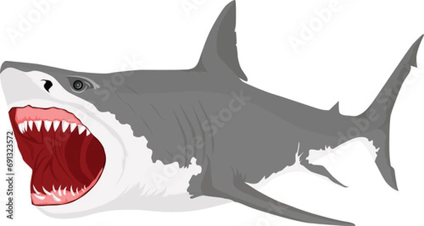 Obraz Shark with open mouth illustration vector