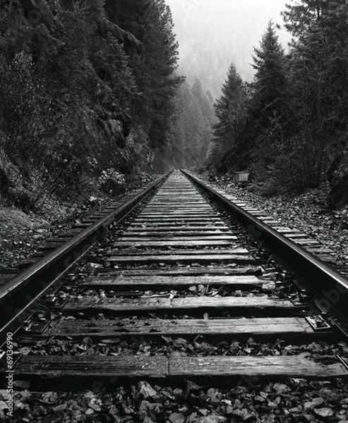Fototapeta North Idaho Train Tracks
