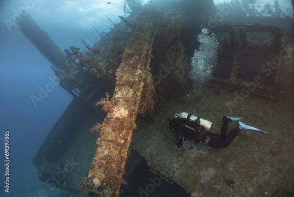 Obraz diving in the sea