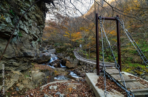 Fototapeta 米子大瀑布登山道のつり橋