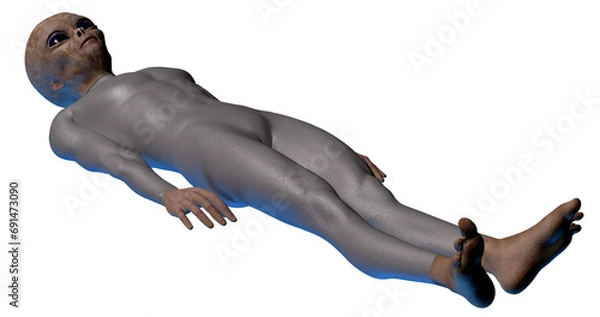 Fototapeta Alien Grey lying down on ground