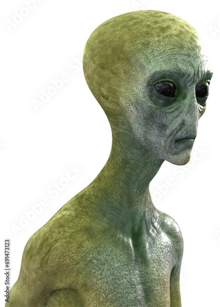 Fototapeta Alien Grey head and shoulders