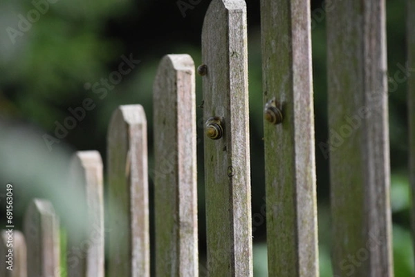 Obraz Holzzaun mit Schnecken