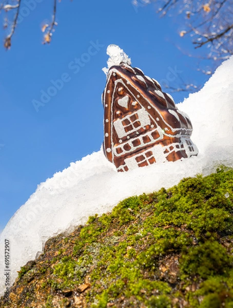Fototapeta landscape with snow
