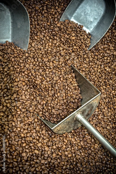 Obraz café en grain