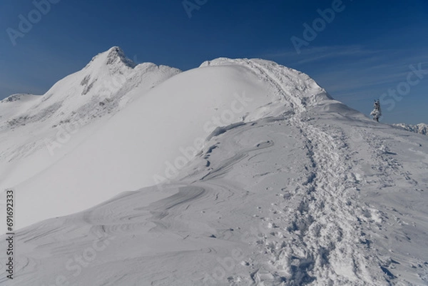 Obraz 冬の剣ヶ峰山山頂