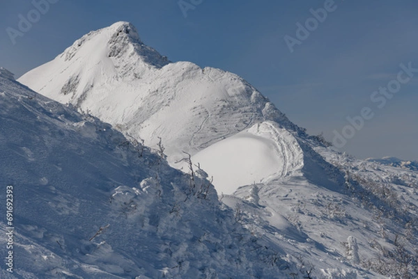 Obraz 剣ヶ峰山から武尊山に向かう登山道から見た冬の剣ヶ峰山