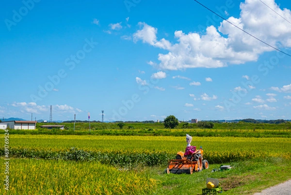 Obraz 夏の田園風景