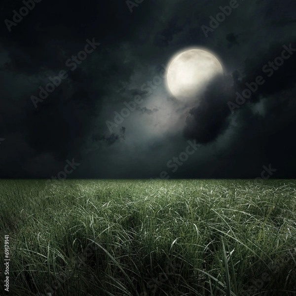 Fototapeta green field at the moon light