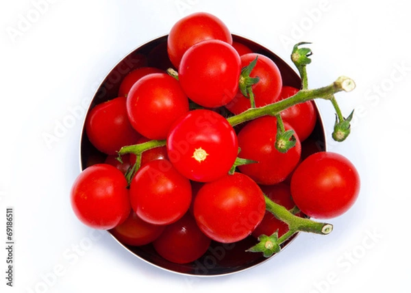 Obraz Red tomatoes 1
