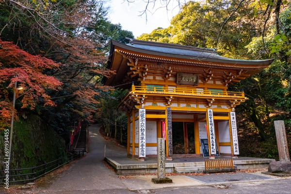 Obraz 紅葉に包まれた山門