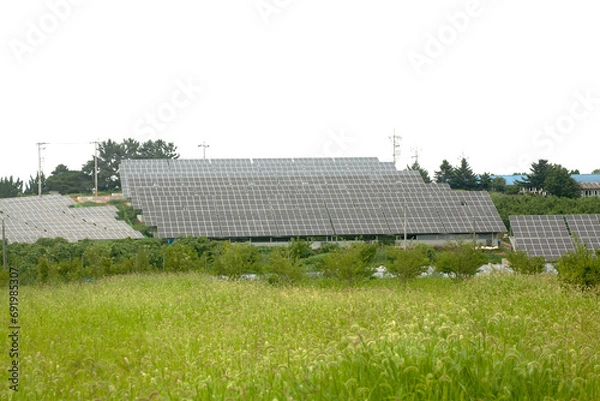 Obraz solar panels on a farm