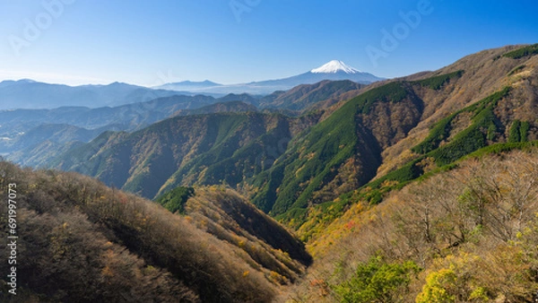 Fototapeta 富士山と紅葉