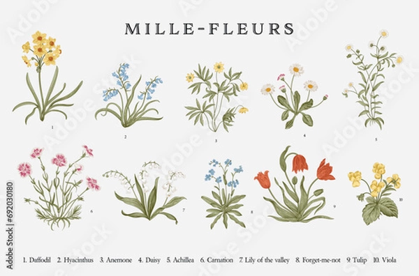Obraz Millefleurs. Ustawić. Sztuka ilustracji wektorowych botanicznych.