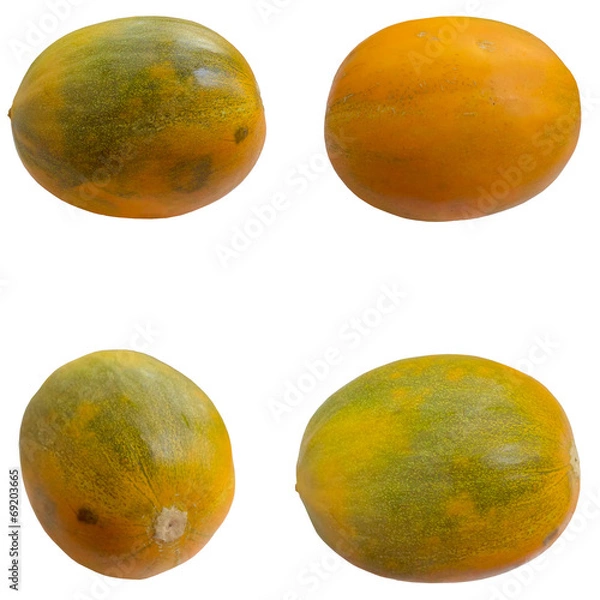 Fototapeta Melon.