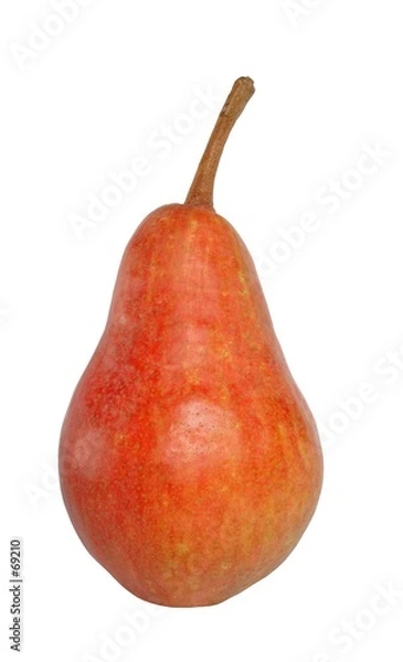 Fototapeta pear
