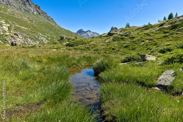 Obraz From Pont Breuil to Colle del Nivolet, a spectacular path follows the Nivolet stream - Dora del Nivolet. Walking across the marshy highland pastures, one can enjoy breathtaking scenic views.