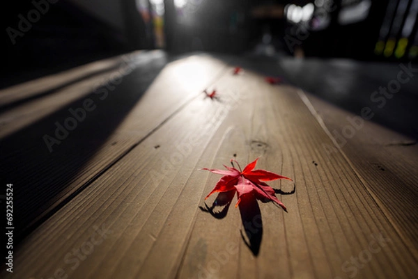Fototapeta 寺院の廊下に落ちた色鮮やかに色付いたもみじの紅葉の葉っぱ