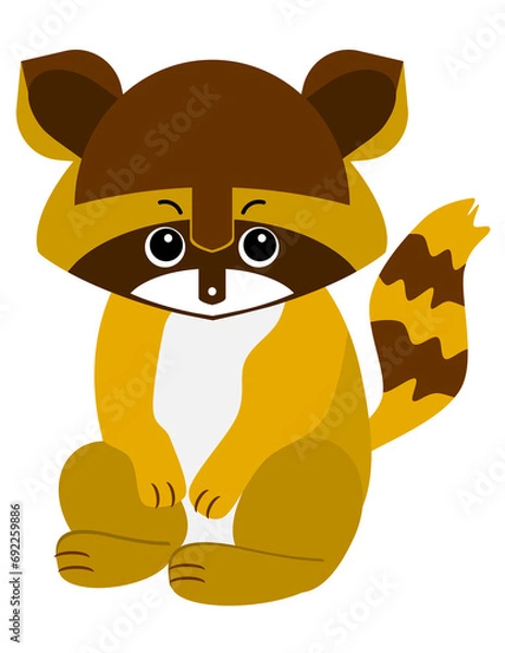 Obraz raccoon