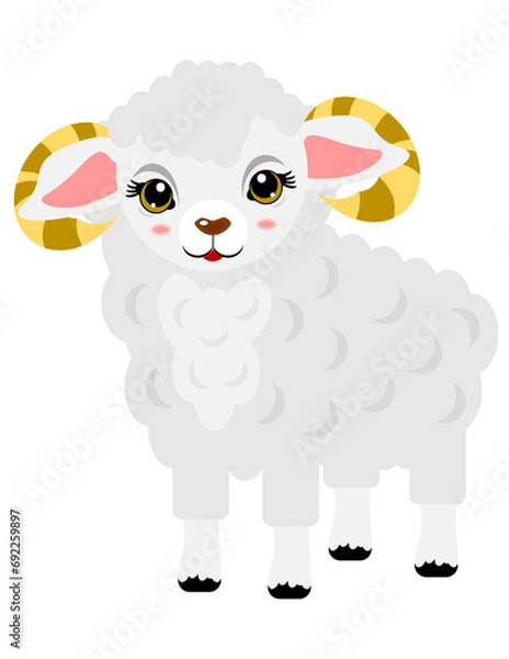 Obraz sheep