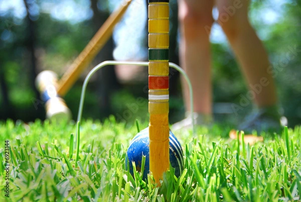 Obraz Wynik krokieta