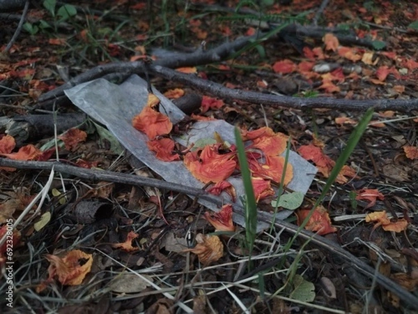 Fototapeta Sampah plastik di pegunungan pada musim gugur 