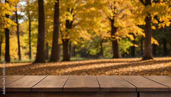 Fototapeta Copy space of empty wooden on the yellow leaves tree and yard beautiful background. in autumn season