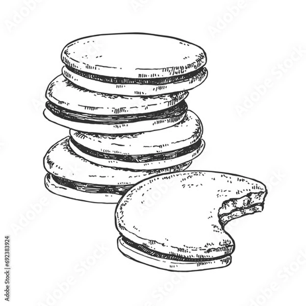 Obraz Hand drawn vector glazed with chocolate cookies illustration. Topping biscuits filled with cream, crema. Pastry design template for menu, ad, label