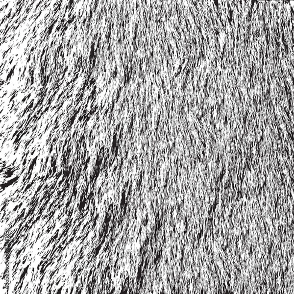 Obraz Monochrome fur texture vector illustration.