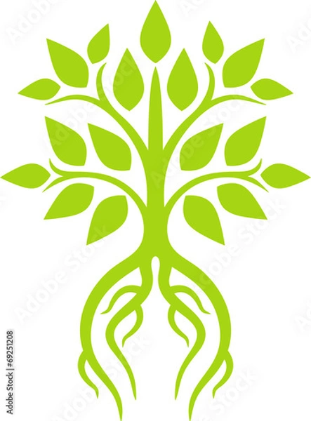 Fototapeta Tree and roots