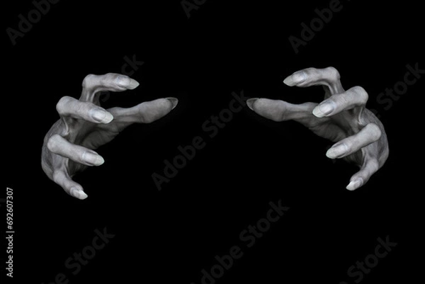 Fototapeta Bony pale male hands of vampire or dead with sharp nails, isolated on black. Monsters fingers try to grab something, low key, selected focus.