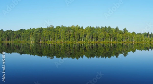 Obraz forest lake. karelia
