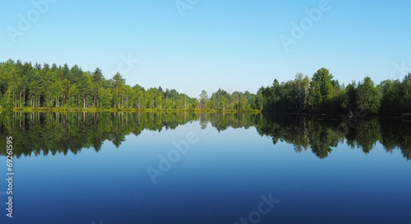 Obraz forest lake. karelia