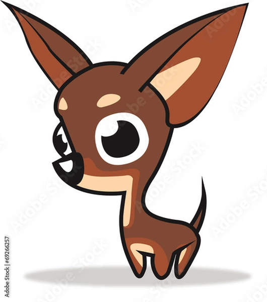 Fototapeta Chihuahua