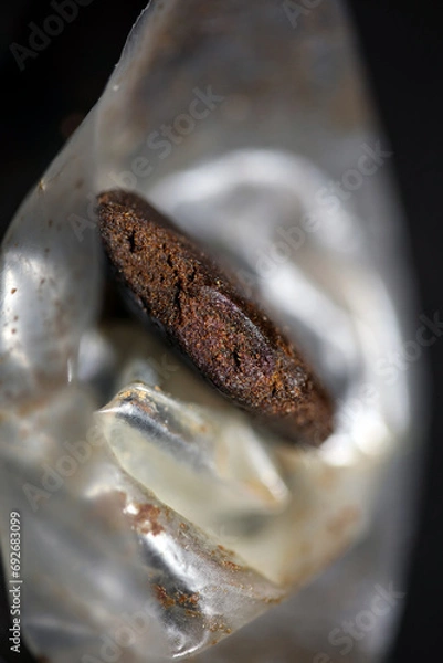 Fototapeta Moroccan fresh cannabis pollen close up filtered hash extraction amazing super dry Nepal hashish high quality smoking big size instants weed mania printings
