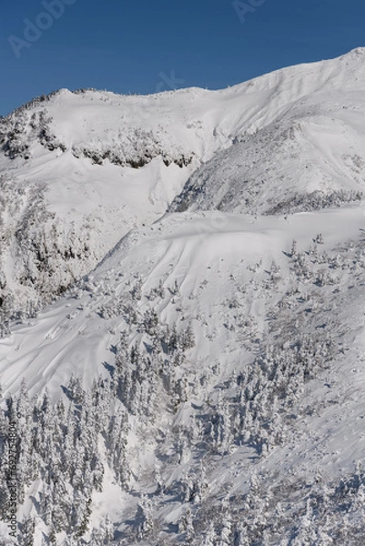 Obraz 冬の武尊山の山肌