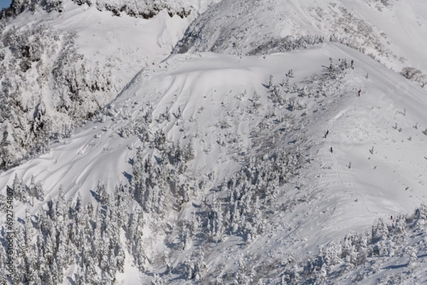 Obraz 冬の武尊山の山肌