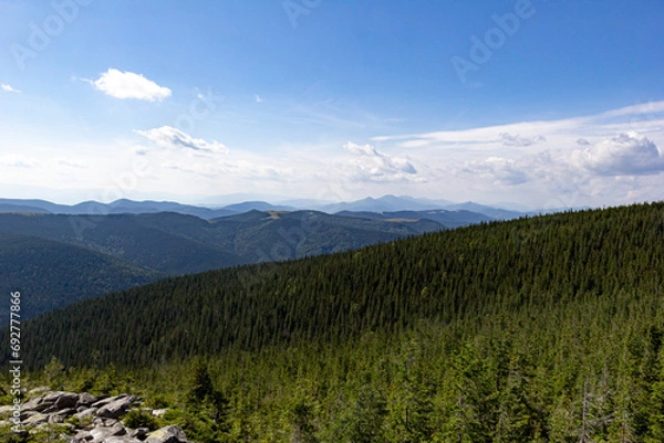 Obraz Mountain landscape, blue sky with white clouds. Coniferous forest
