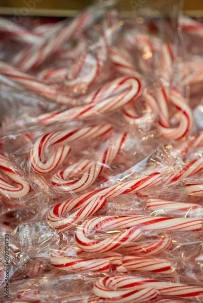 Obraz christmas cane