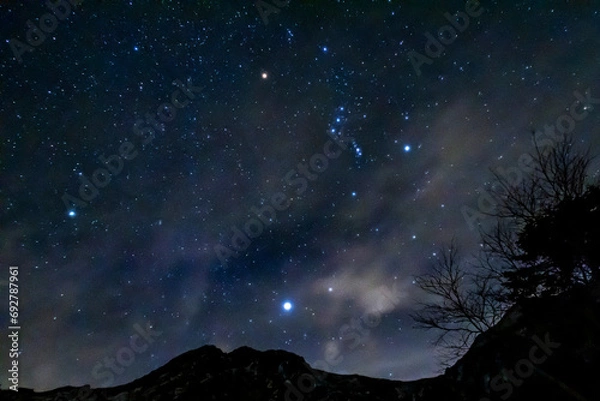 Fototapeta 冬の大三角