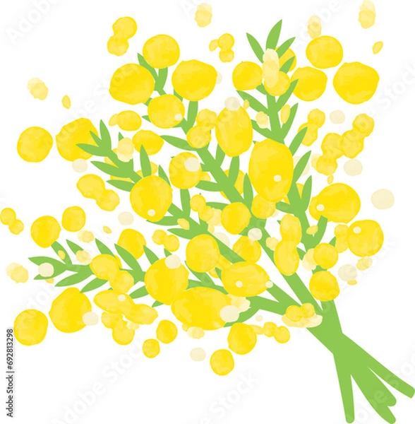 Obraz 水彩のミモザの花束