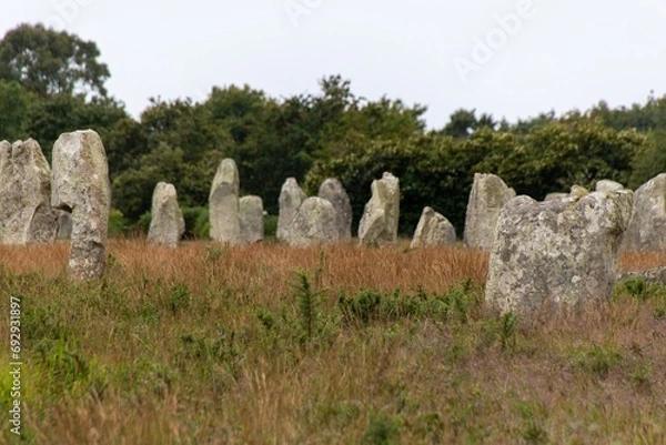 Fototapeta alignment of menhirs in the morning