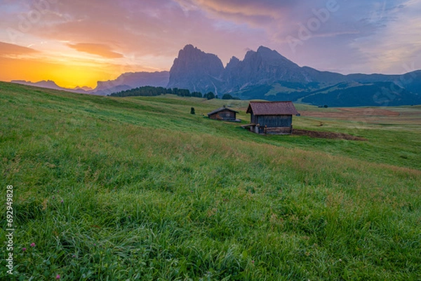 Obraz Alpe di Siusi (Seiser Alm), Europe's largest high-alpine pasture in South Tyrol.