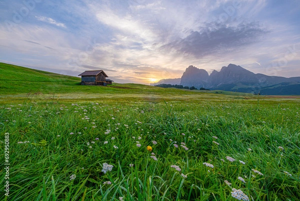 Obraz Golden hues paint the sky as the sun rises over Alpe di Siusi, casting a breathtaking glow on the vast alpine meadows and distant peaks