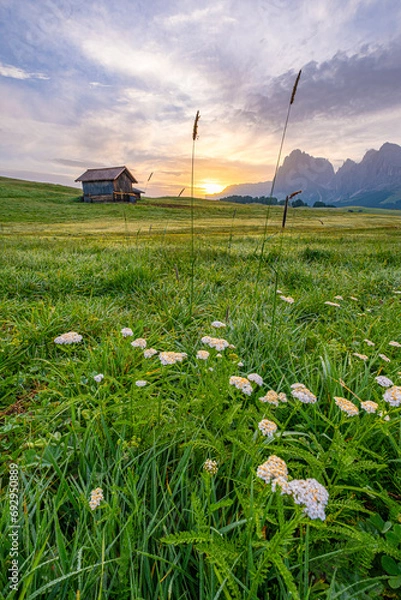 Obraz Golden sunrise bathes Alpe di Siusi, illuminating vast alpine meadows and distant peaks in breathtaking hues. A picturesque moment in the Dolomites