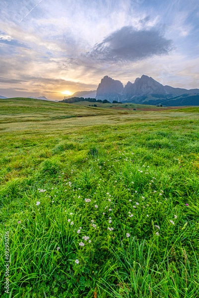 Obraz Alpe di Siusi at sunrise, green meadows, distant peaks, and a charming hut basking in the morning glow, a serene scene in the heart of the Dolomites