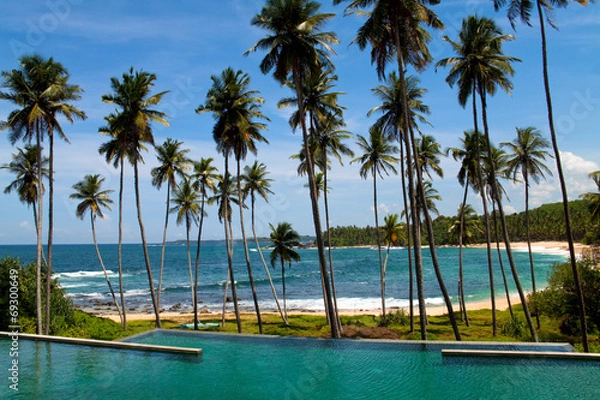 Obraz Palms and sandy beach