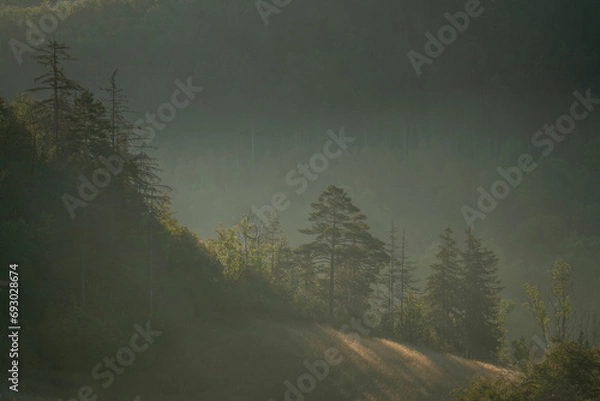 Obraz Landschaft im Herbst