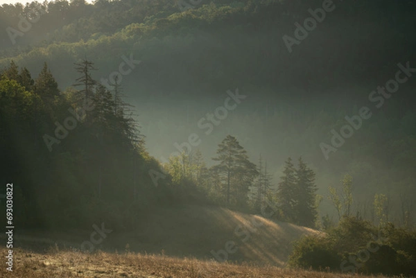 Obraz Landschaft im Herbst